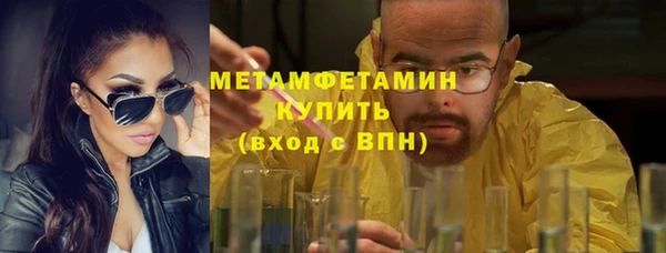 шишки Осташков