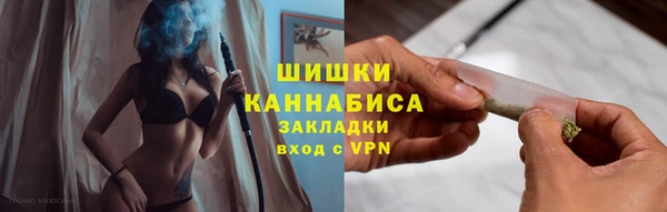 гидропоника Богданович