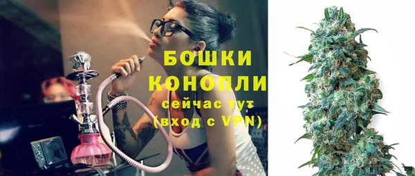 гидропоника Богданович