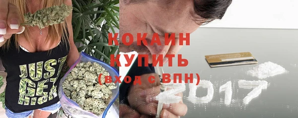 сатива Богородицк