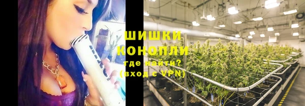 сатива Богородицк