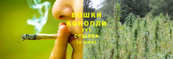 сатива Богородицк