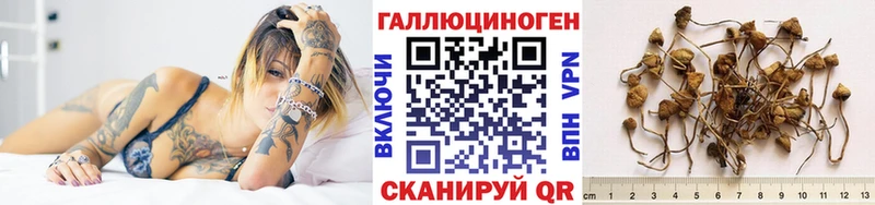 хочу наркоту  Бахчисарай  Псилоцибиновые грибы GOLDEN TEACHER 